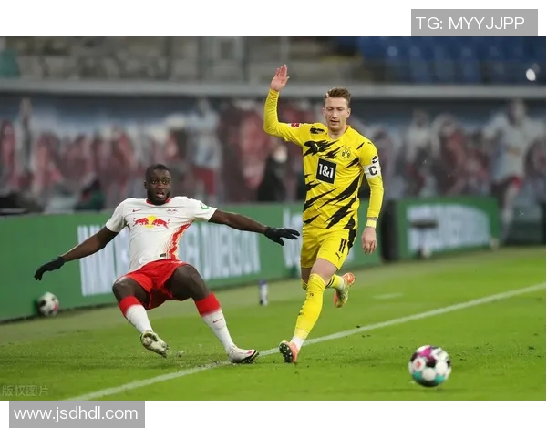 弗拉霍维奇：从新星崛起到足球巨星的华丽转身与未来展望